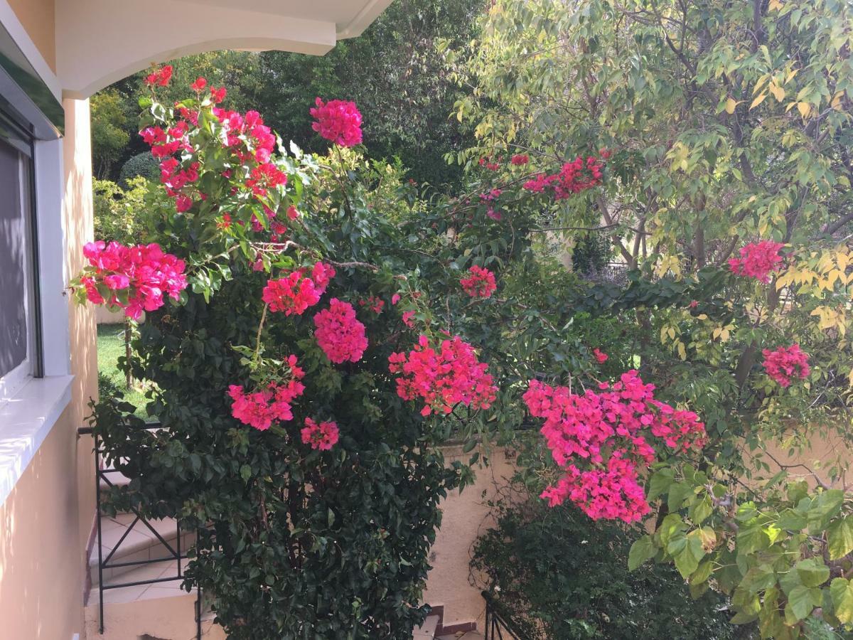Villa Tzitzifies Kourouklata ภายนอก รูปภาพ